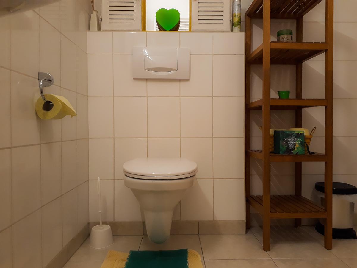 Ferienwohnung Nahe Fuschlsee, Hof Bei Salzburg Exterior foto